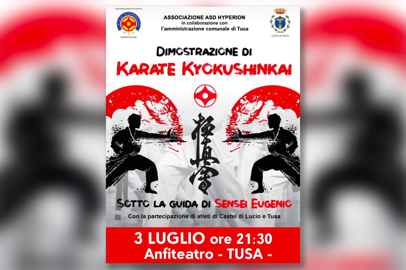 Karate Kyokushinkai